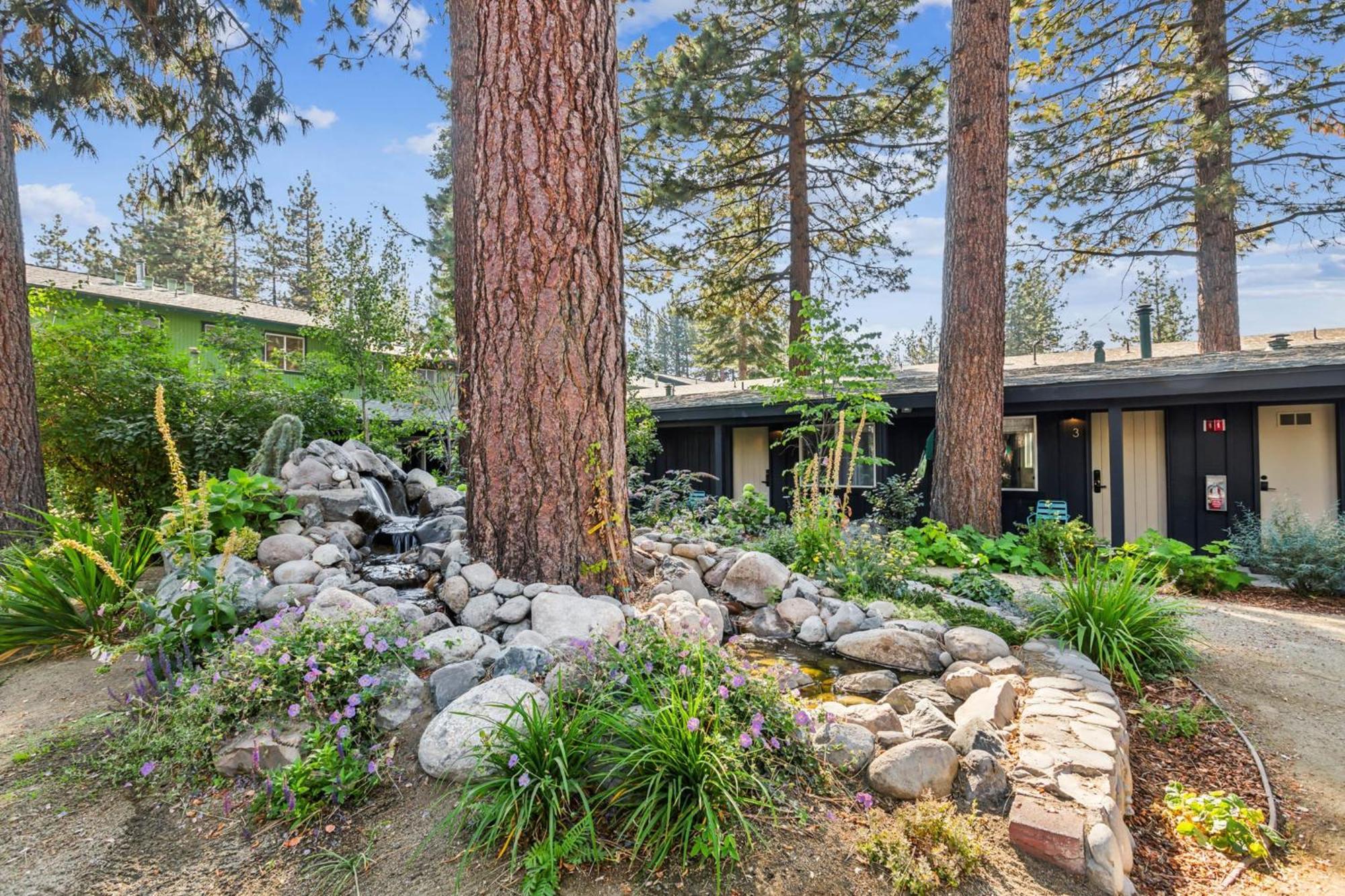 South Lake Chalet-Boutique Suite-Minutes To Heavenly & Lake Tahoe South Lake Tahoe Eksteriør billede